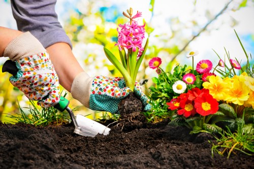 Insurance certificate and policy documents for an insured gardening company laid out on a table