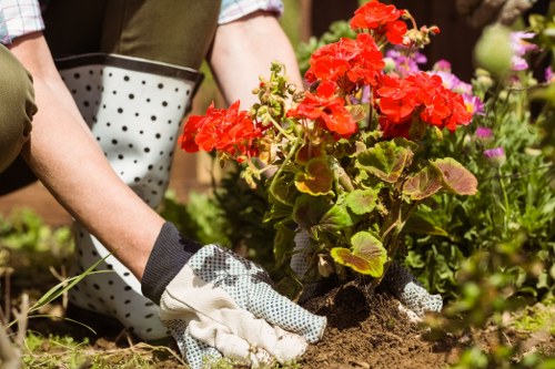 Team of Gardening Raynes Park professionals planning a garden
