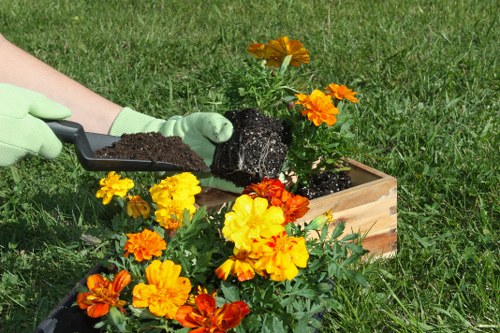 Closing image representing community gardening