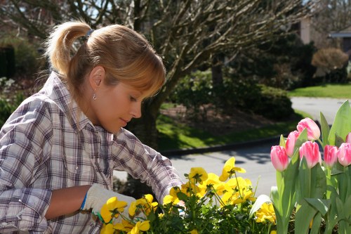 Workers assessing a garden before starting maintenance