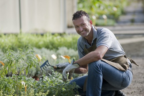 Comprehensive lawn care services including fertilization and aeration