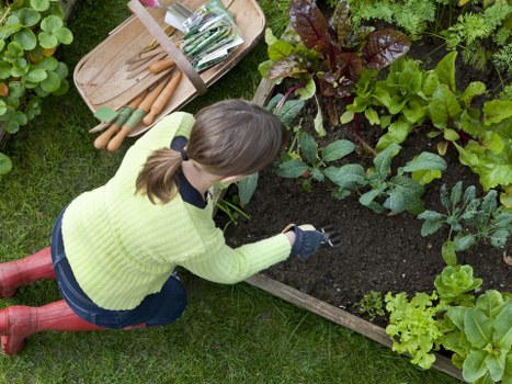 Community garden in Raynes Park with residents planting