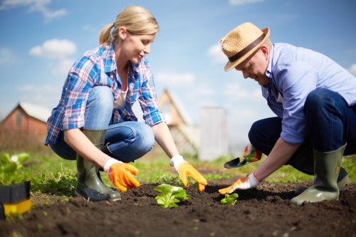 Tools and equipment for gardening in Raynes Park